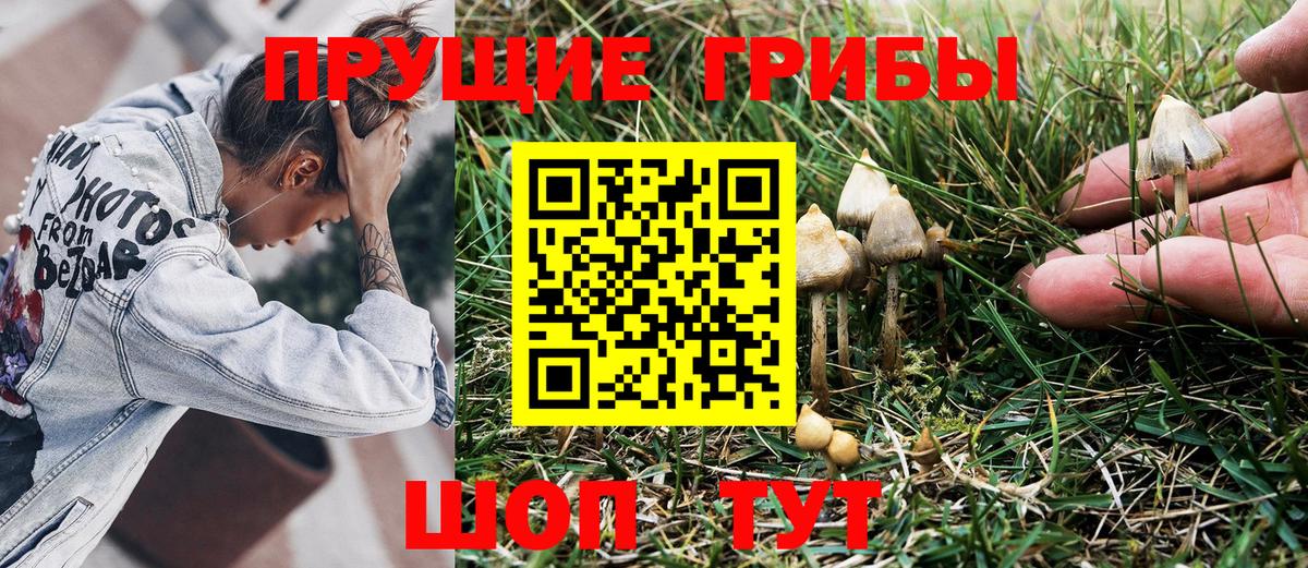 Псилоцибиновые грибы GOLDEN TEACHER  Вход с VPN  Полевской 